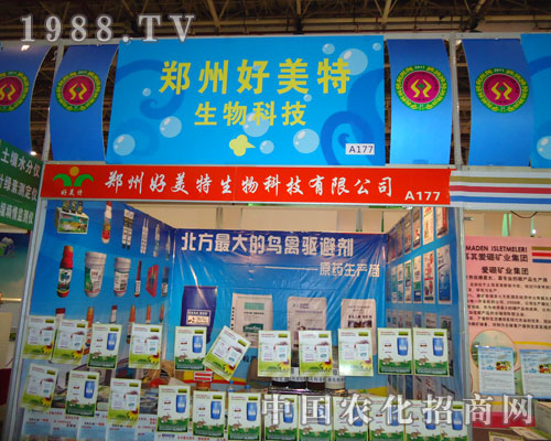 27��ȫ��ֲ�������������������̈���