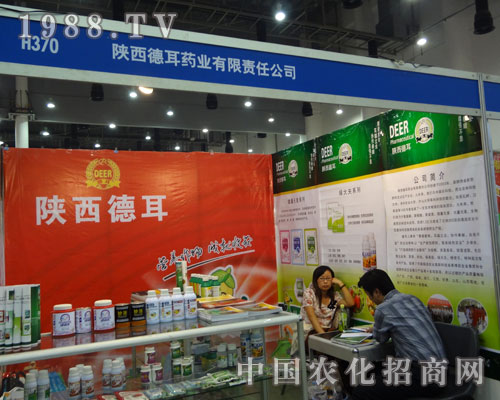 �B�T�rˎе��������¶���ؓ����