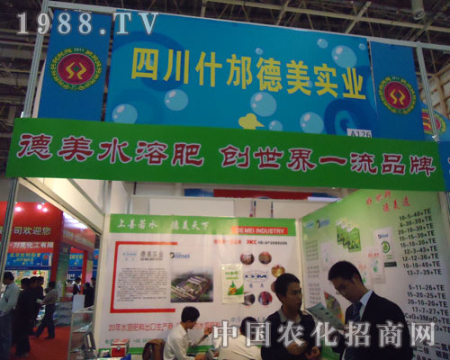 ʲ���������I(y��)�x�S�����ڏB�Tֲ����