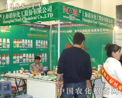 �Ϻ��Z�������ɷ����޹�˾