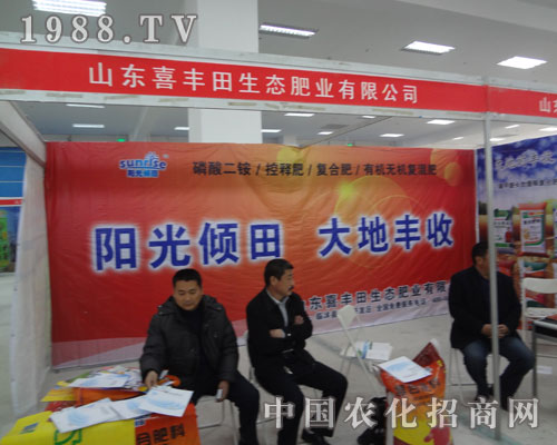 ϲ�S���ꖹ�A��������S��