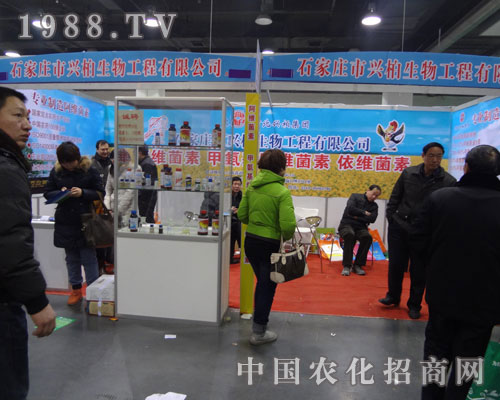 �ӱ��d�ؼ��F(tu��n)��չʯ���f�r(n��ng)ˎ��(hu��)����ϲ��