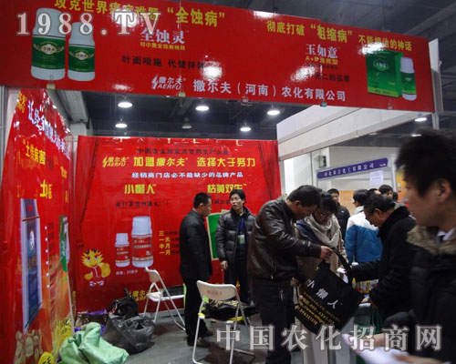 ������ ׌��(j��ng)�N��ٍ����e���p����