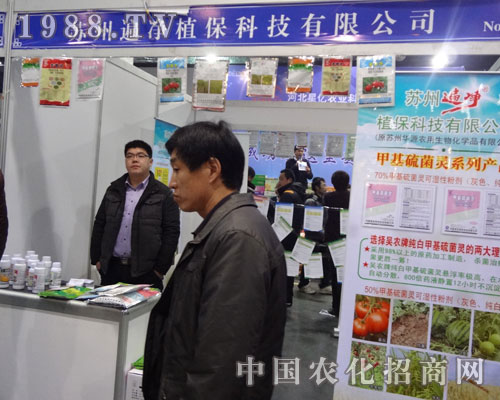 �K�ݱ��ֲ����˾��չʯ���fֲ�������̻�Ӳ���