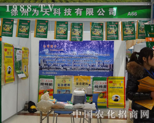 ���ݞ���Ƽ�