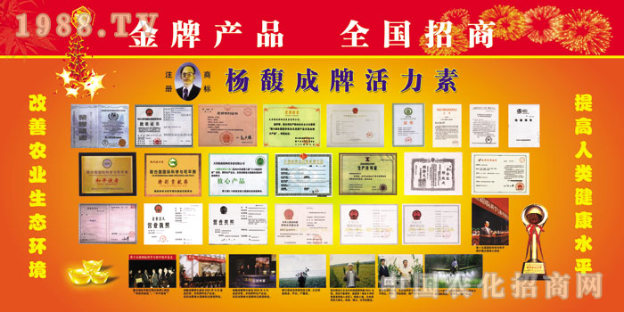 �����ֲ��I�B(y��ng)�����޹�˾�s�u(y��)չʾ