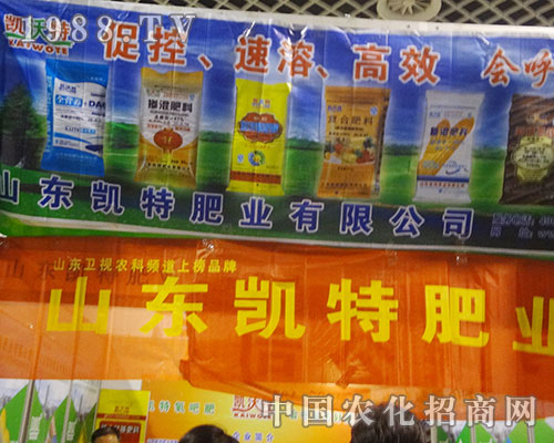 ɽ�|�P��׌2012��H���׏�(f��)�ʕ�(hu��)��M�˻���