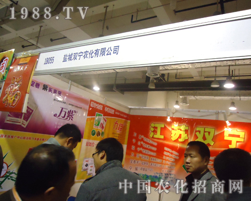 ���K�p�������̶������������v�w����