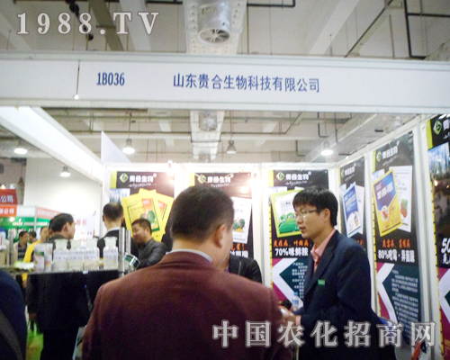 ɽ�|�F��ʢ�b��չ18��ɽ�|ֲ���p����(hu��)