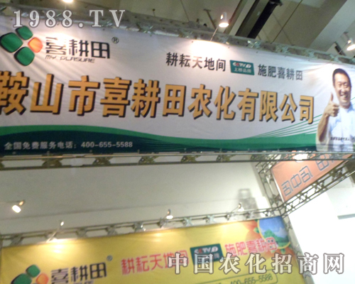 18��ɽ�|ֲ���p����(hu��)��ϲ�����ل�(chu��ng)�ѿ�