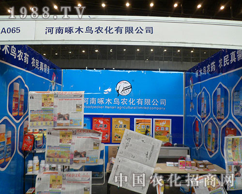 ��ľ�B(ni��o)��һֻ�����P(p��n)���ڵ�28������ֲ��չ��