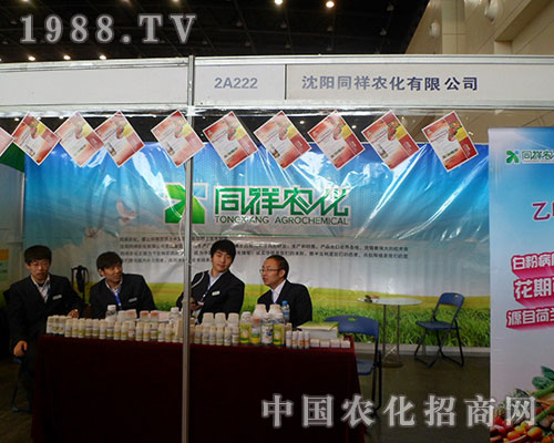     ͬ���r���ڵ�28��ȫ��ֲ���������J��