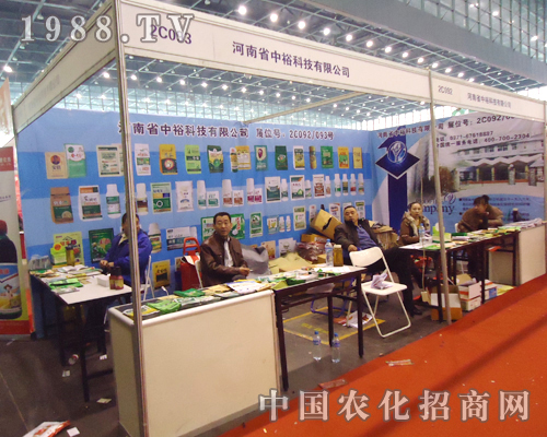 �����Ƽ������̈F�