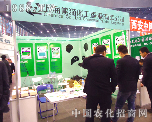 ��؈��������̓��