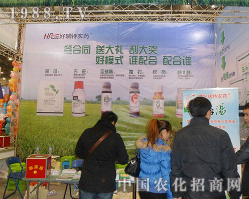 ���Ϻ�����������28������ֲ����