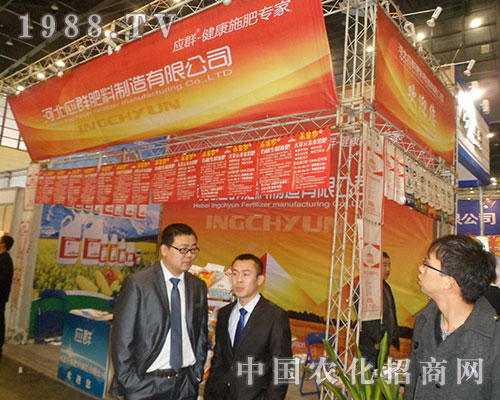 �ӱ���Ⱥ�������p2012ȫ��ֲ���p����