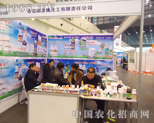 �Z�ݿ����µ���ò��ϯ28��ȫ��(gu��)ֲ�����ו�(hu��)