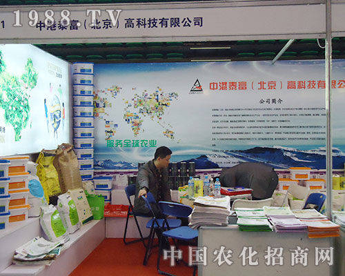 �и�̩���ڵ�28��ֲ���p������չȭ�_