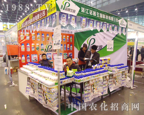 �Z�������c��ҹ���(chu��ng)�p�A