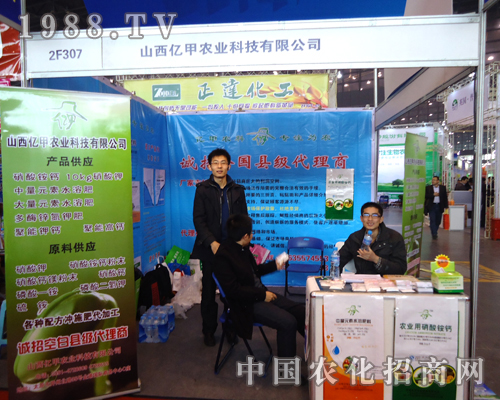 ɽ���|�׹�˾��2012������ֲ�������̲���