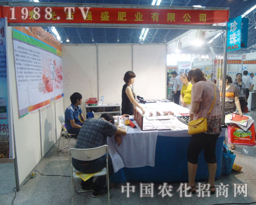 ��(qi��ng)ʢ�ʘI(y��)���ݳ�չ�ھŌ��A�|�؅^(q��)���ϕ�(hu��)