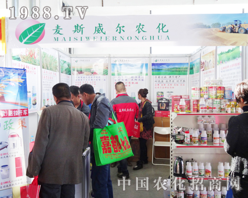 ��˹������2013����ʡ���Ͻ��ו������̲���