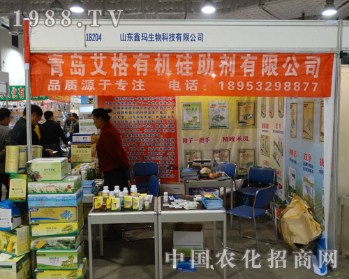 ���u�����������2013��19��ɽ�|ֲ�����ו�