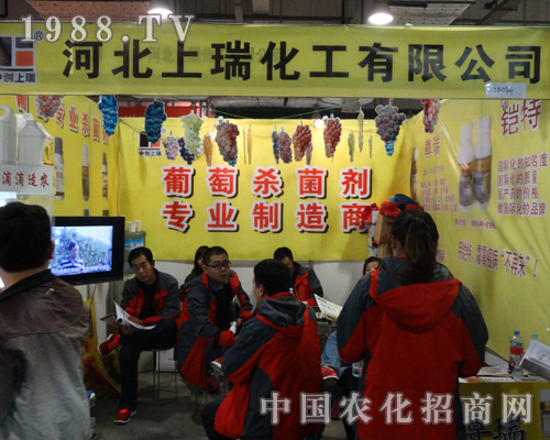 ���𻯹���2013��(j��)��ֲ��չ�[��������