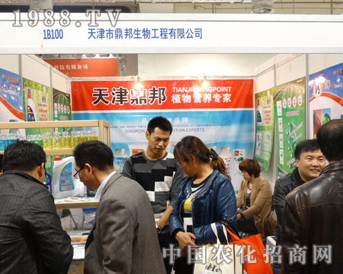 ����������ɽ�|����ֲ������ӭ���˹��x�q��