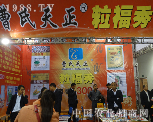 �����������2013��19��ɽ�|ֲ�����ו�ȫ��