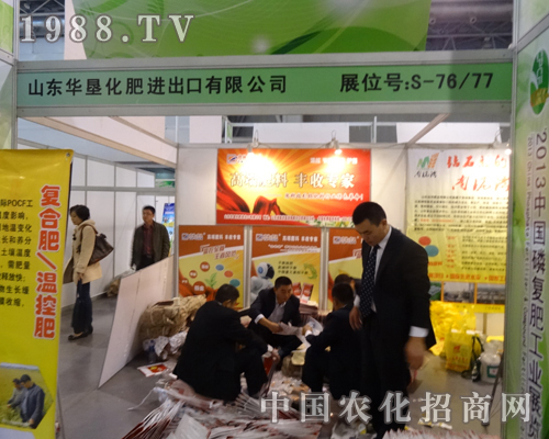 2013�����׏�(f��)�ʕ�