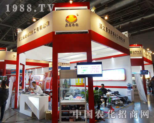 2013�����׏ͷʕ�