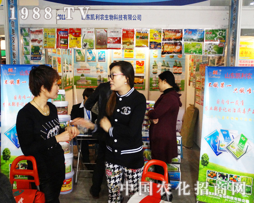 �P���r��2013��19��ɽ�|ֲ�����ו��ϱ��F����