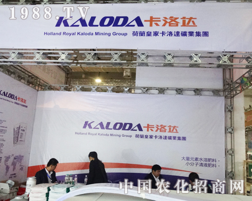 �����_��2013ɽ�|ֲ���p�������ի@���u