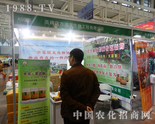 ���������ٴ������29���Ї�ֲ����(hu��)