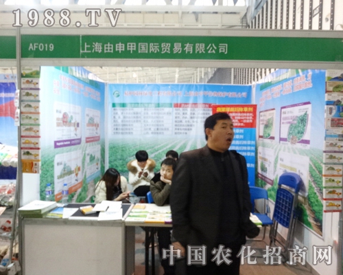 �Ϻ�������ڵ�29��ֲ������Ч������