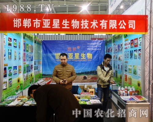 �������＼������������29���Ї�ֲ���������A�M�Y(ji��)��