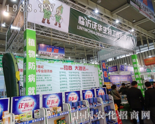 ���A�������\(ch��ng)���ӵ�29��ֲ���p����(hu��)