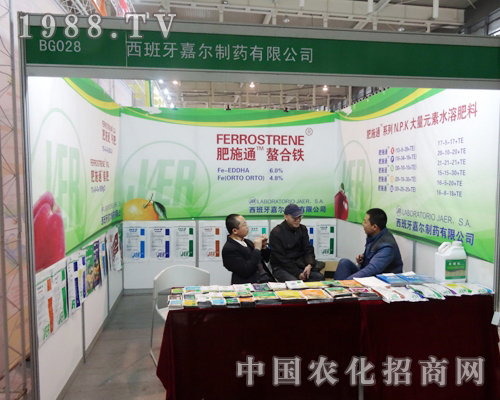 �Π���ˎ�ذ�����2013���K�Ͼ�ֲ����(hu��)