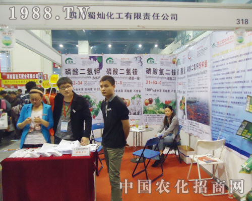 �Ĵ���N���o2013�������ݷ����p�������ӡ��