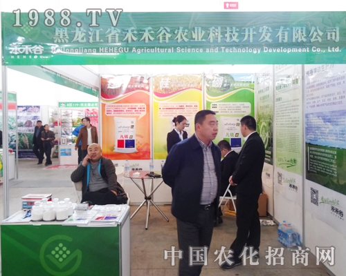 �̺̹��\(ch��ng)�Ņ���2014����ꖷ��ϕ�(hu��)