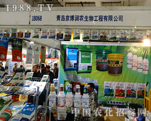 ��20��ɽ�|ֲ�����ϵľ������r(n��ng)���ƏV