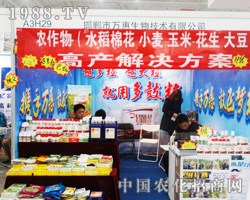 ����ʮ��ȫ��ֲ����(hu��)�ϵ��f������