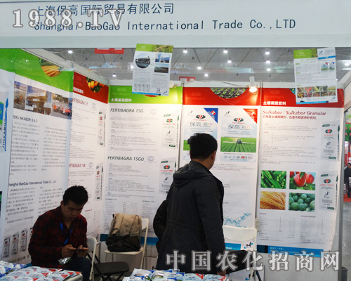 �Ϻ������Q(m��o)�׹�˾�ɹ����ӵ���ʮ��ȫ��ֲ����