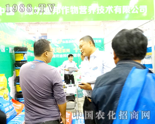 �ϰ�����2015ɽ�|ֲ����