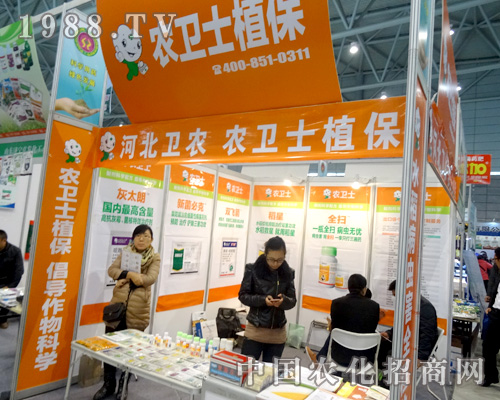 �ӱ����r(n��ng)��ᅢ��ȫ��ֲ����(hu��)