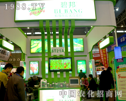 �̰��ϯȫ��ֲ����