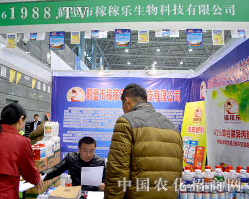 �Q���мڼژ���2015ȫ��(gu��)ֲ����(hu��)���F(xi��n)ͻ��