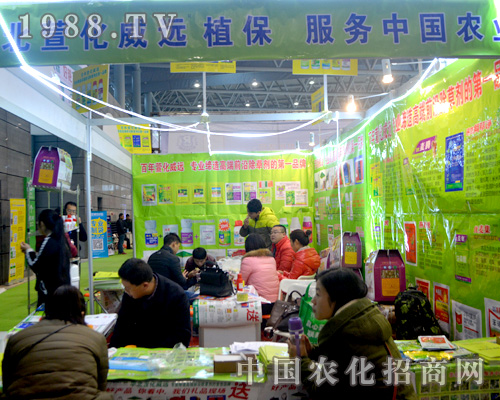 �A���滯���h�c���y��ȫ��ֲ����