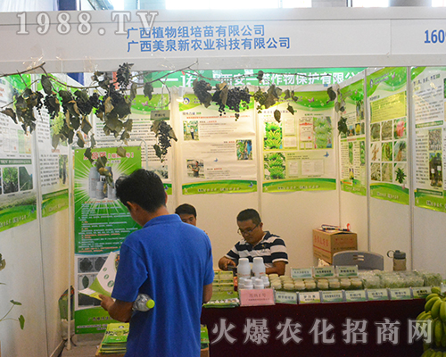 �V����Ȫ�r(n��ng)�I(y��)��2016�ό��r(n��ng)�Y���`������